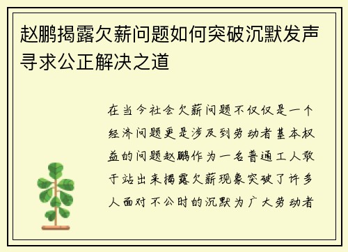 赵鹏揭露欠薪问题如何突破沉默发声寻求公正解决之道